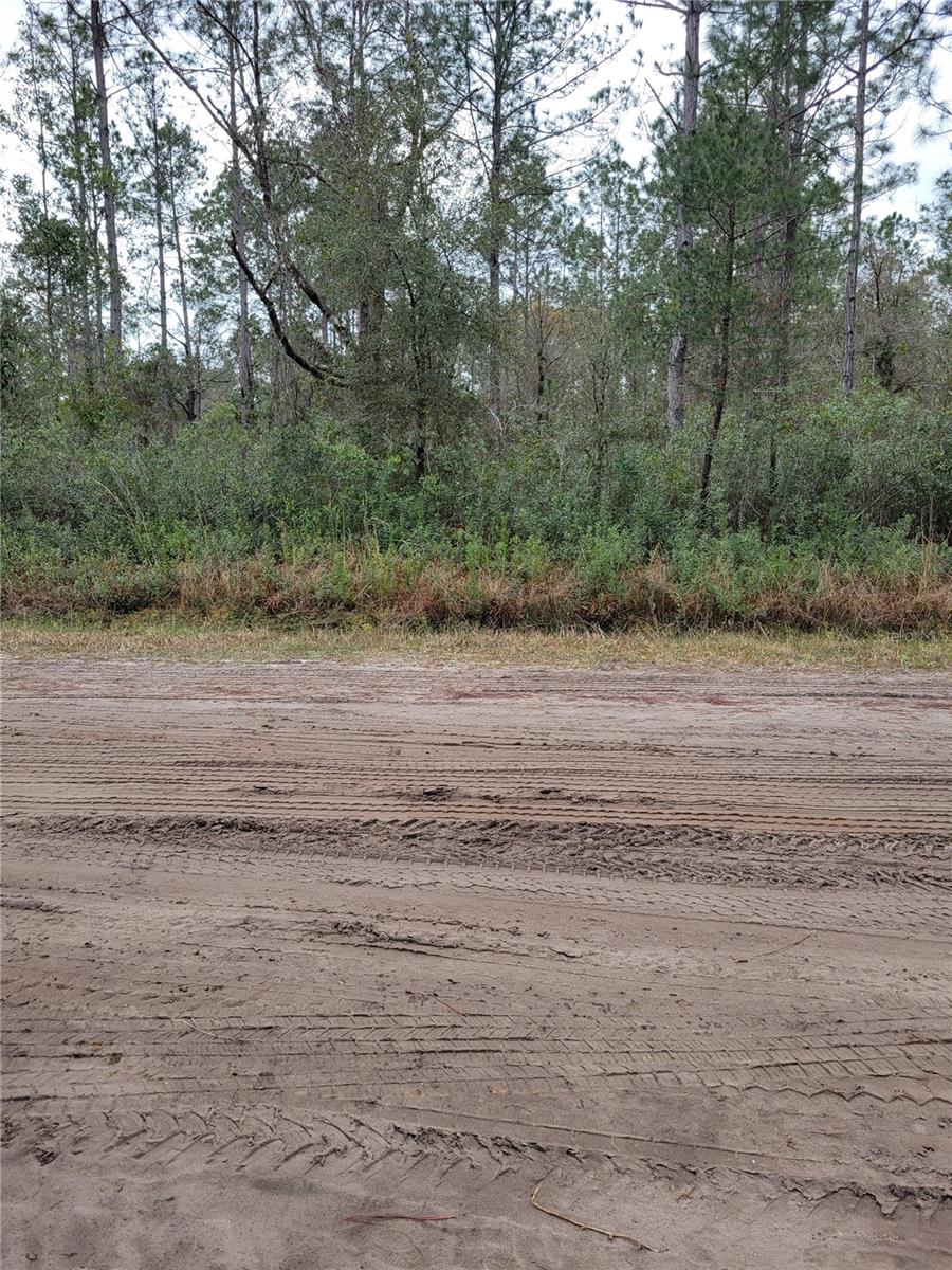 5105 JONATHAN ST, HASTINGS, FL, 32145