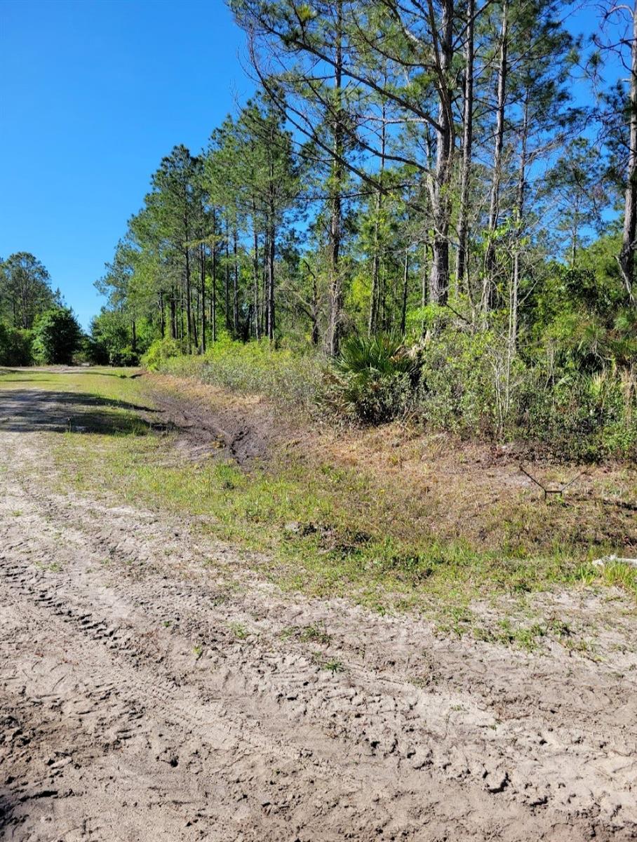 5105 JONATHAN ST, HASTINGS, FL, 32145