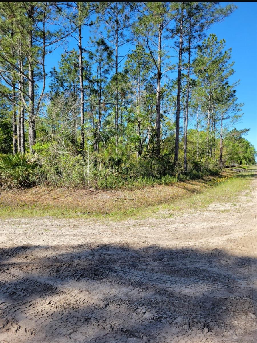 5105 JONATHAN ST, HASTINGS, FL, 32145