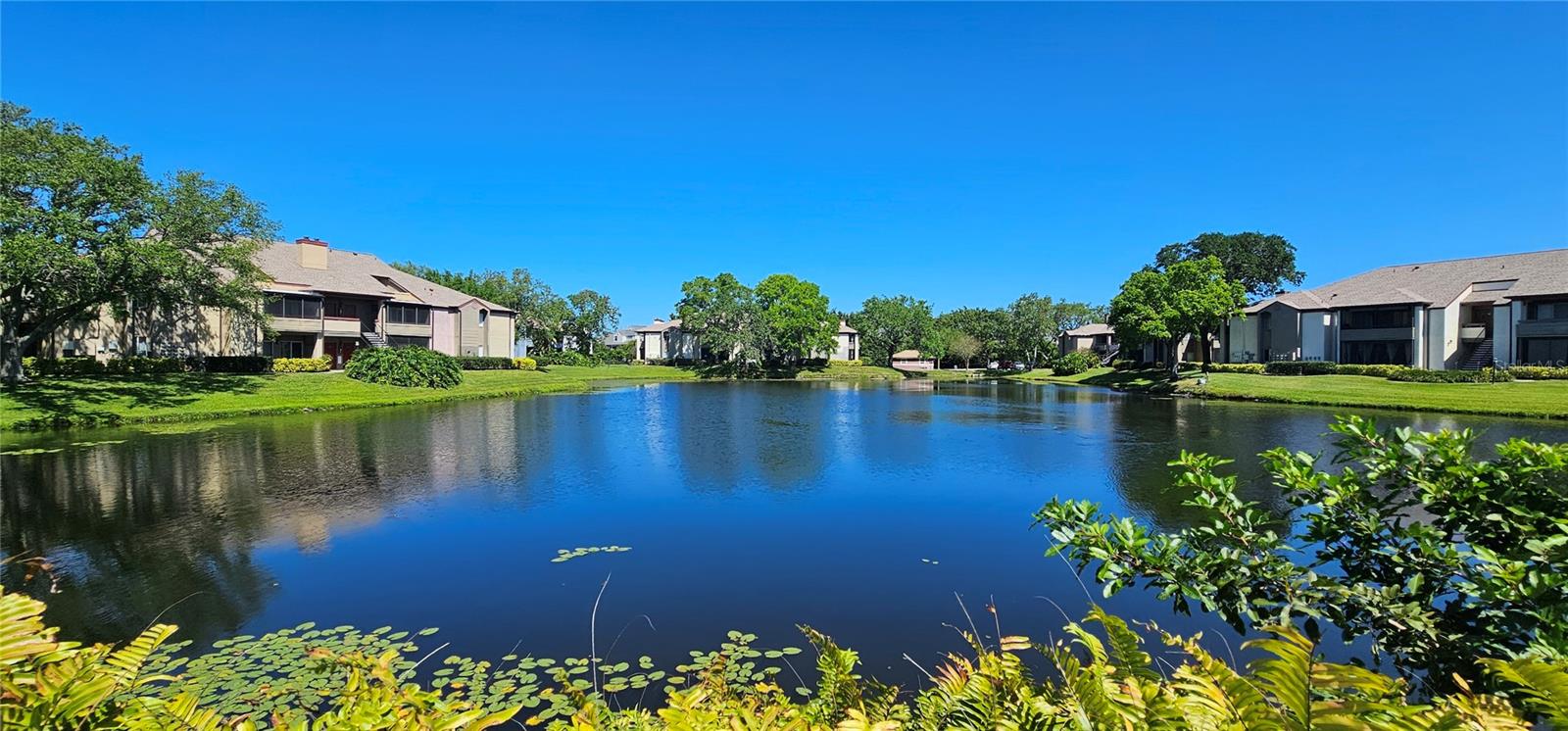 10263 GANDY BLVD N #203, ST PETERSBURG, FL, 33702