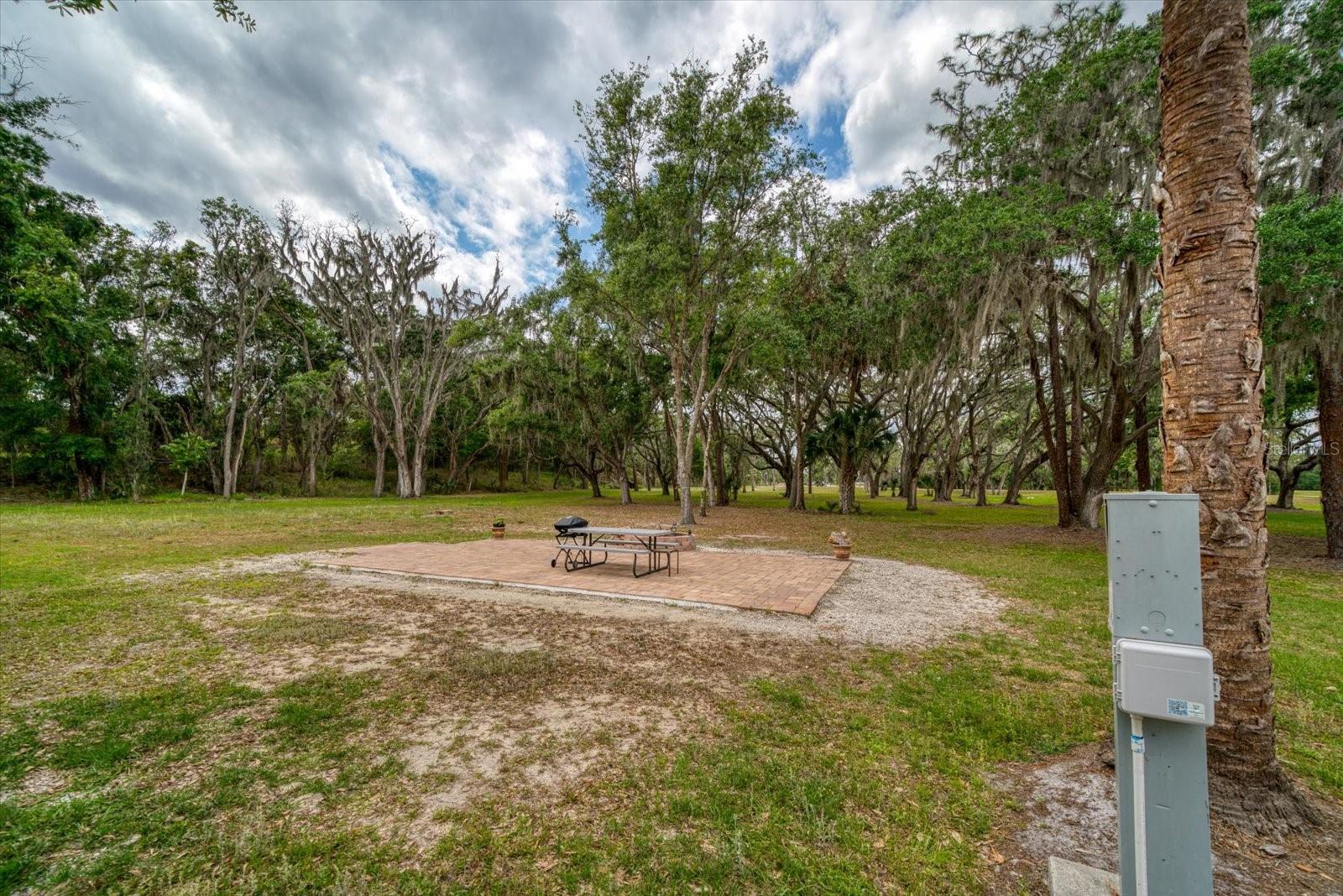 13026 S COUNTY ROAD 39 HWY, LITHIA, FL, 33547