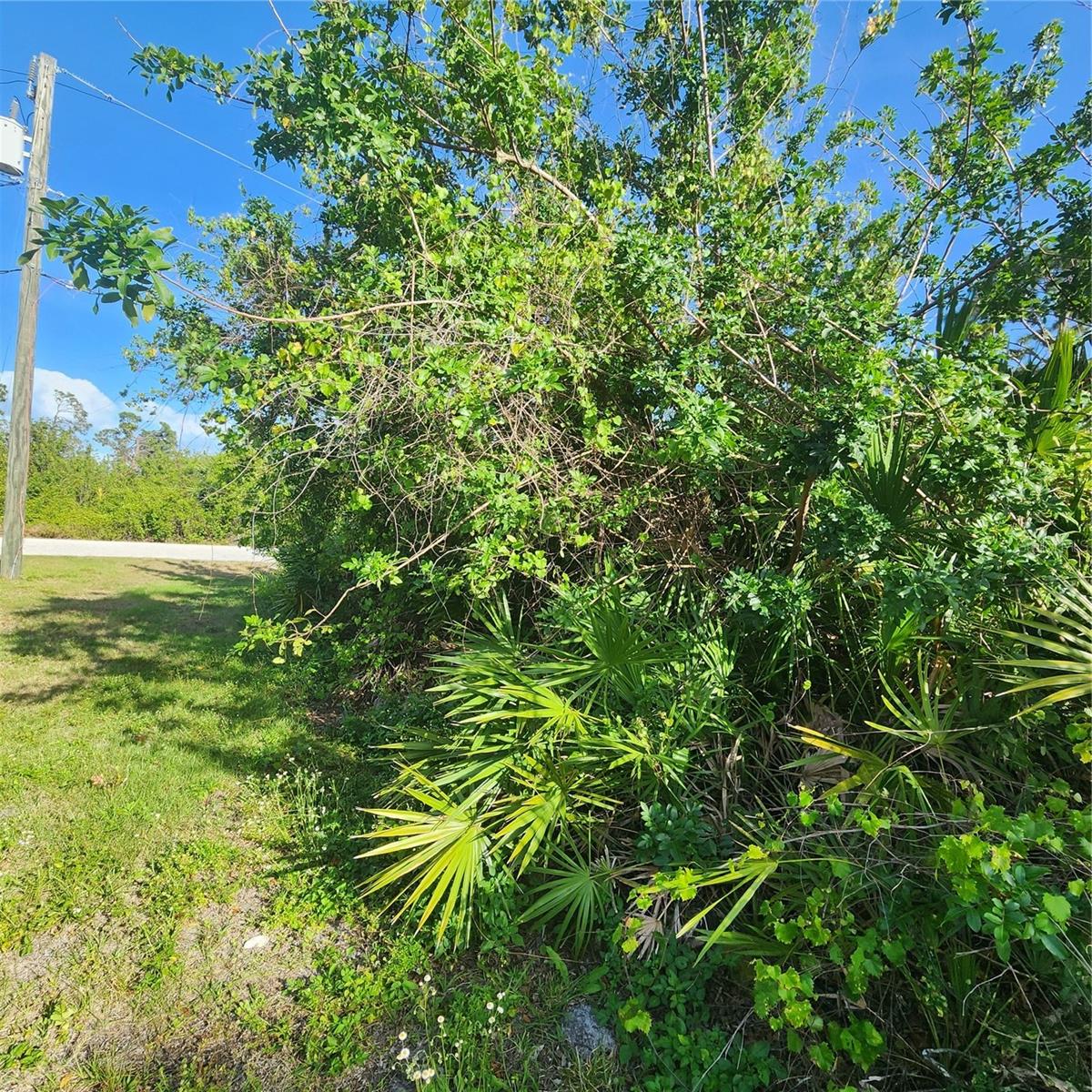 12282 APPLEBERG CIR, PORT CHARLOTTE, FL, 33981