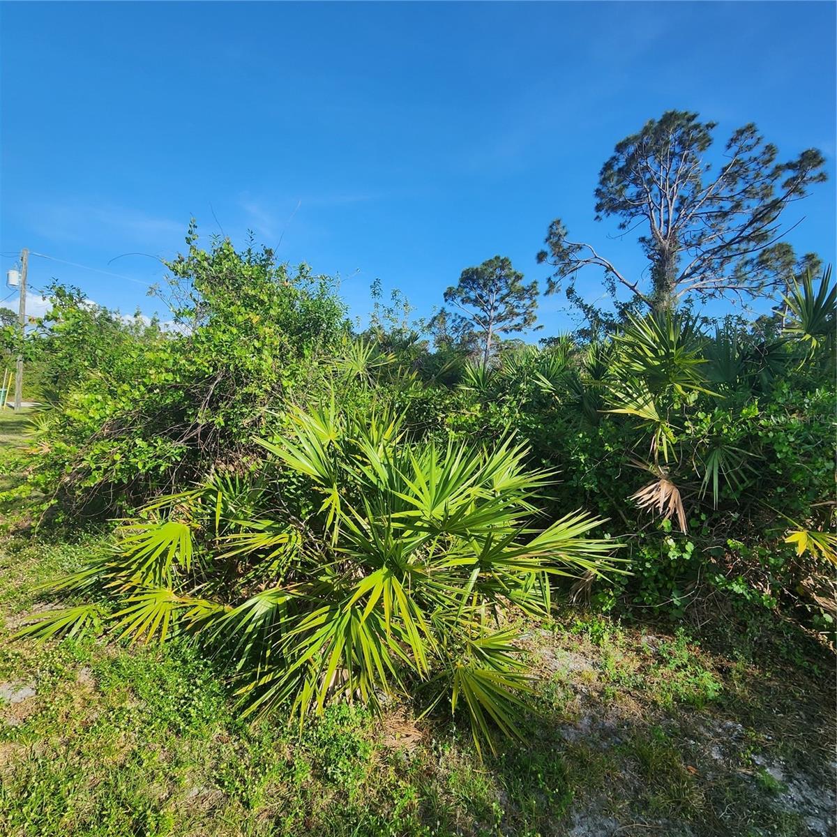 12282 APPLEBERG CIR, PORT CHARLOTTE, FL, 33981