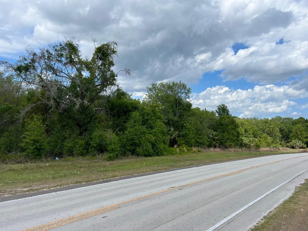 S HWY 25, WEIRSDALE, FL, 32195