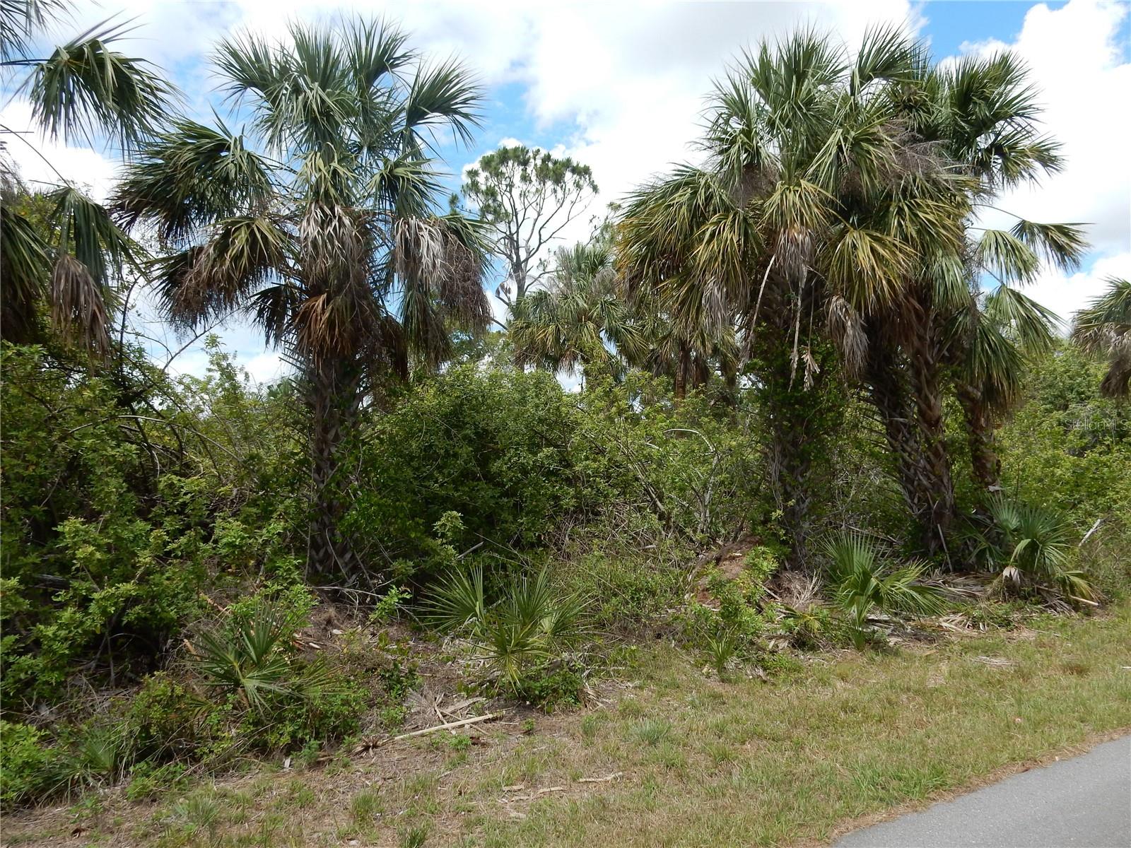 2165 WOOD ST, PORT CHARLOTTE, FL, 33953