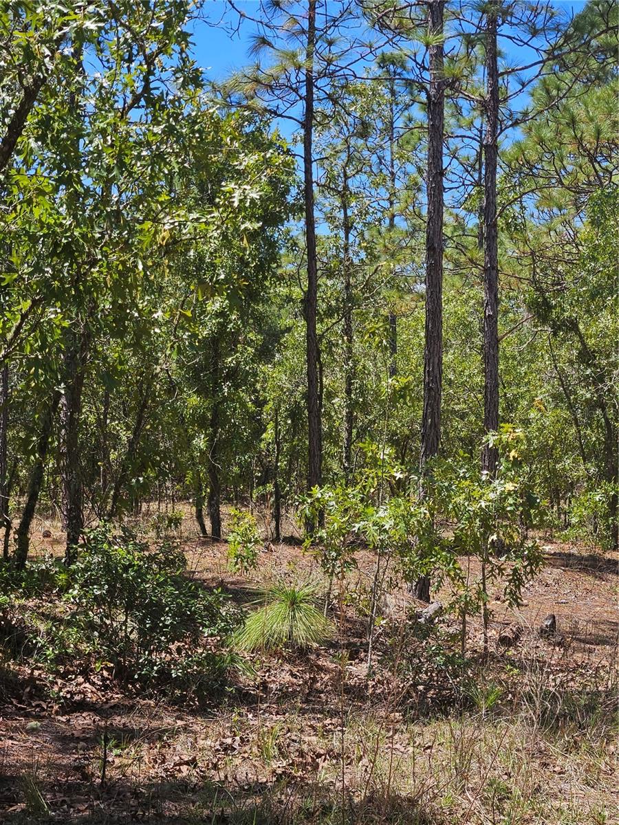 844 E JINNITA ST, HERNANDO, FL, 34442