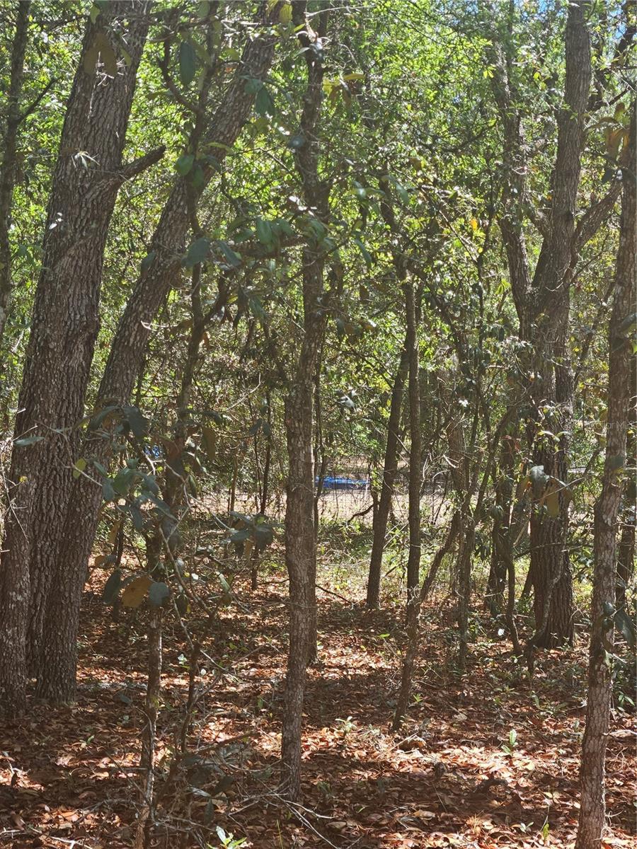844 E JINNITA ST, HERNANDO, FL, 34442