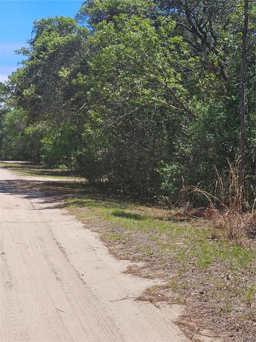 844 E JINNITA ST, HERNANDO, FL, 34442