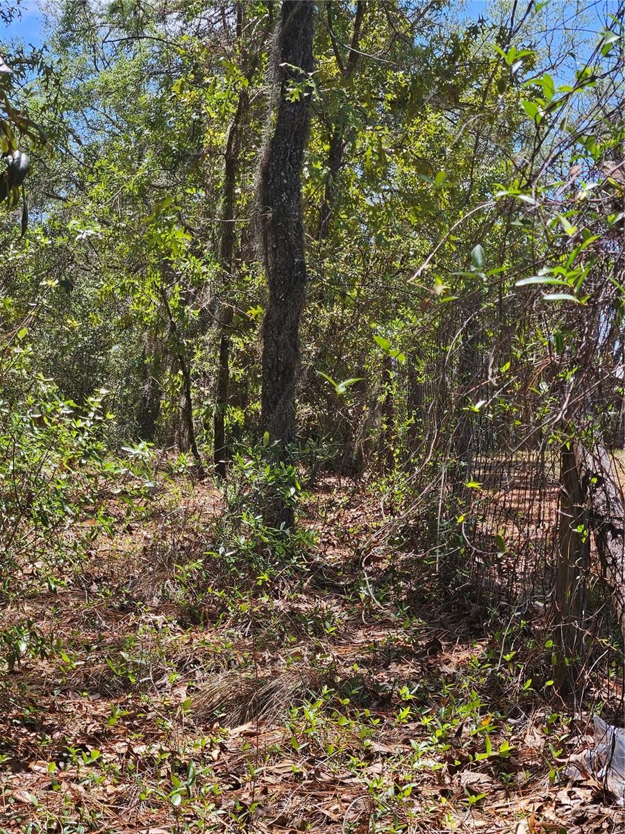 844 E JINNITA ST, HERNANDO, FL, 34442