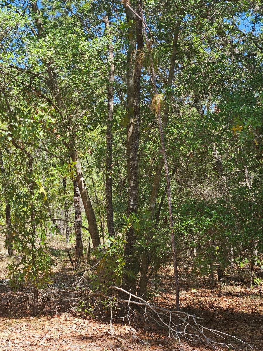 844 E JINNITA ST, HERNANDO, FL, 34442