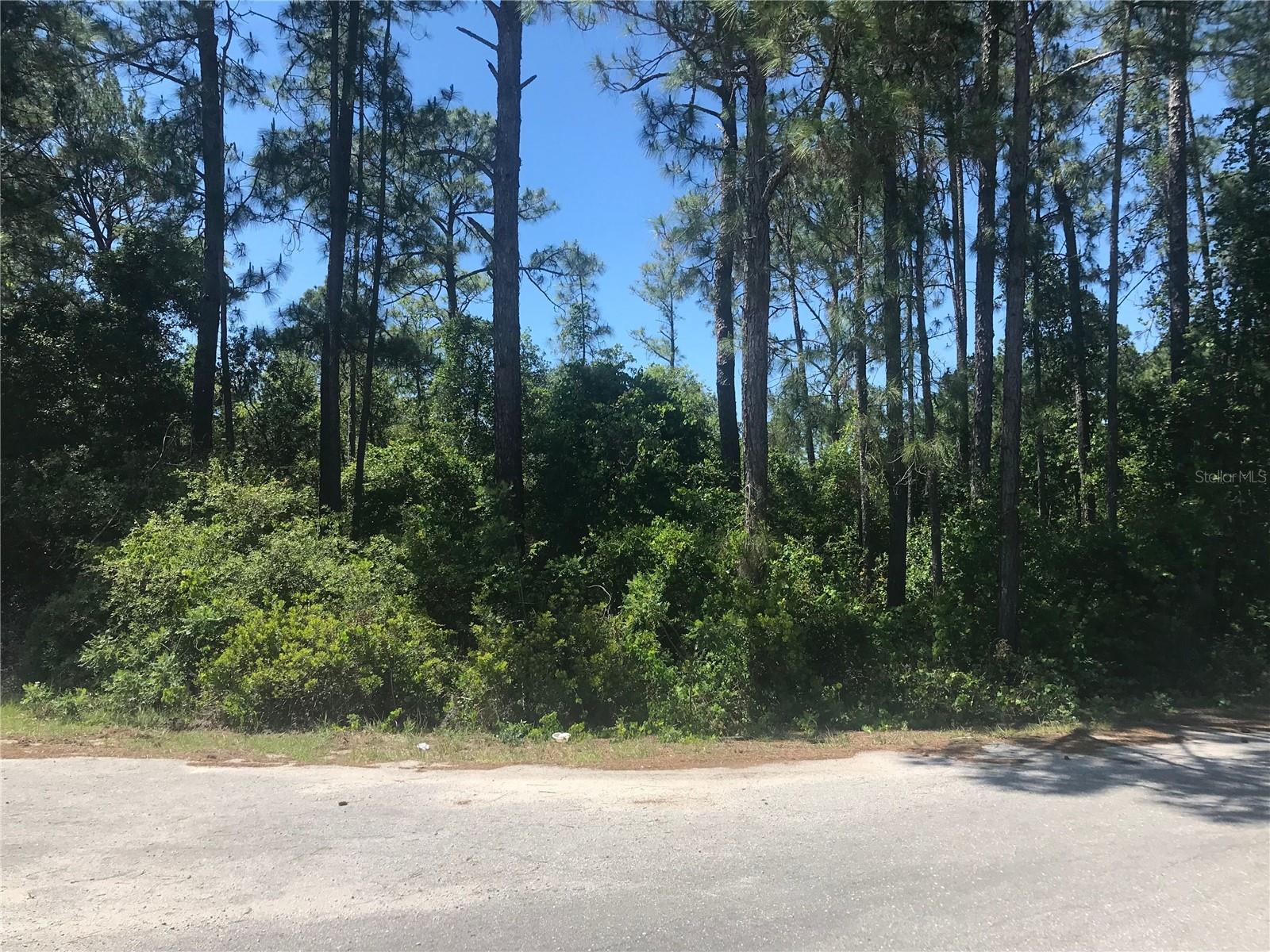 TBD FISHER PASS, OCKLAWAHA, FL, 32179