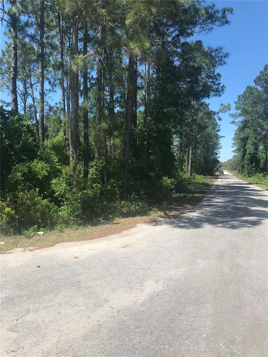 TBD FISHER PASS, OCKLAWAHA, FL, 32179