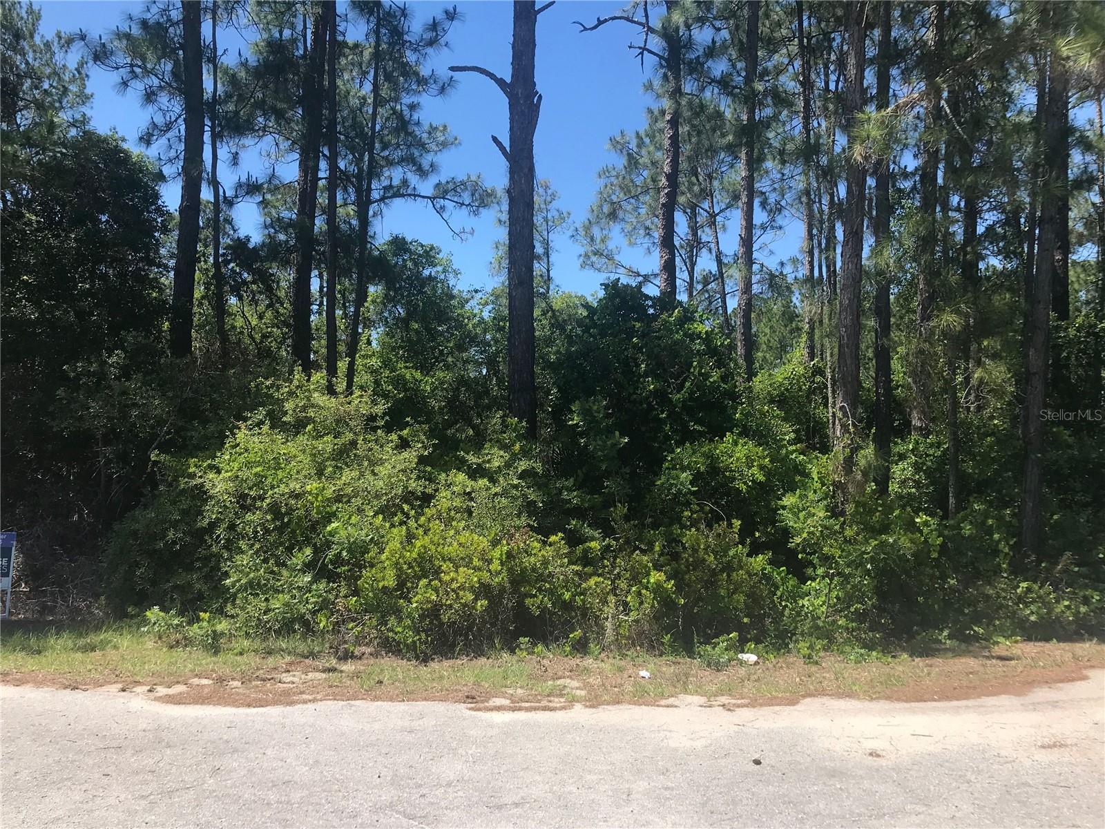 TBD FISHER PASS, OCKLAWAHA, FL, 32179