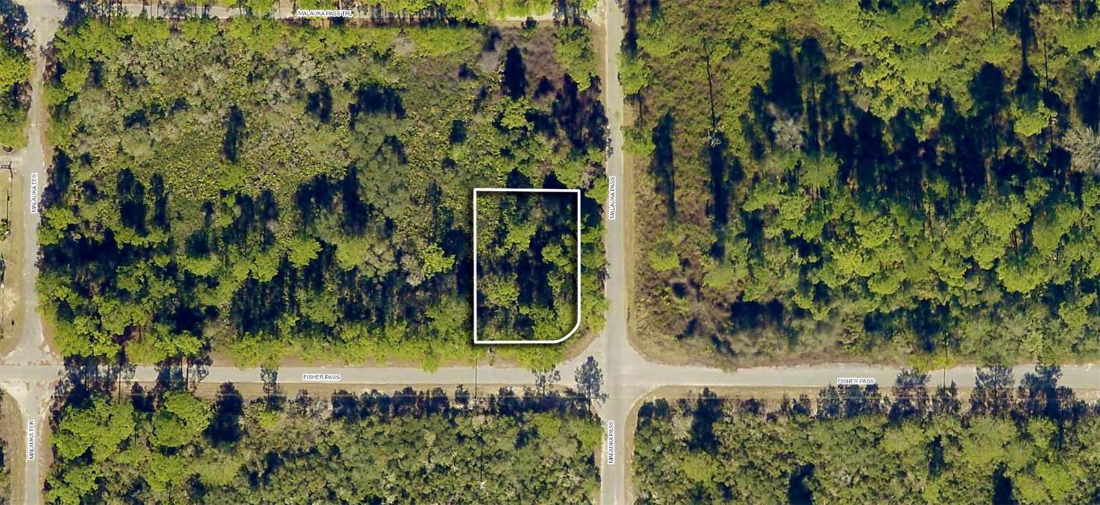 TBD FISHER PASS, OCKLAWAHA, FL, 32179