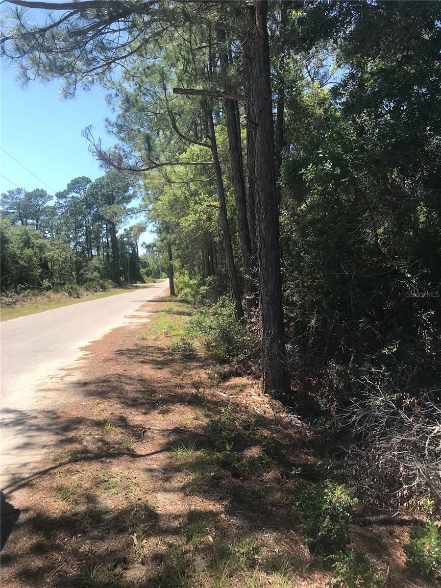 TBD FISHER PASS, OCKLAWAHA, FL, 32179