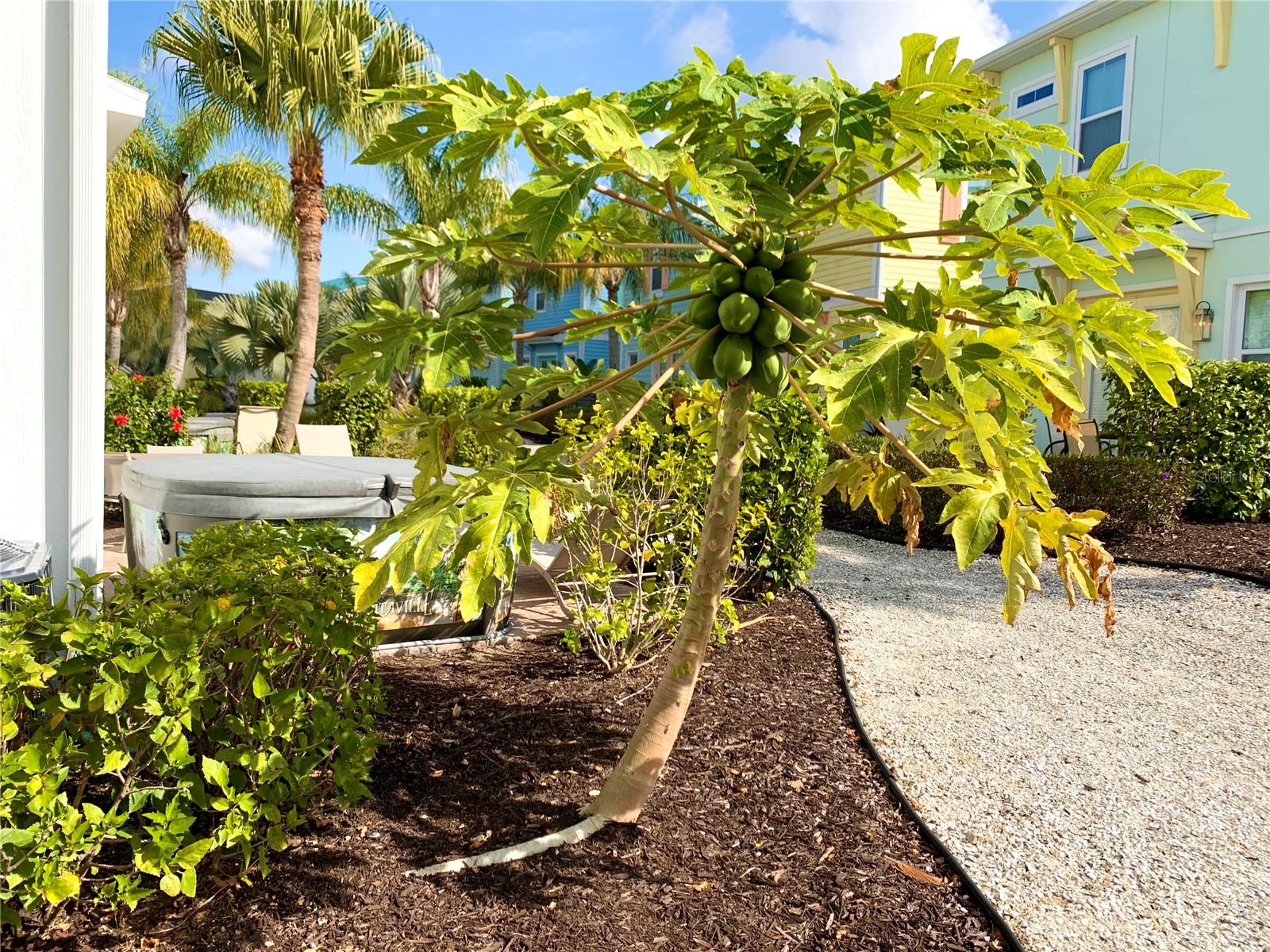 3001 SEA PLANE LN, KISSIMMEE, FL, 34747