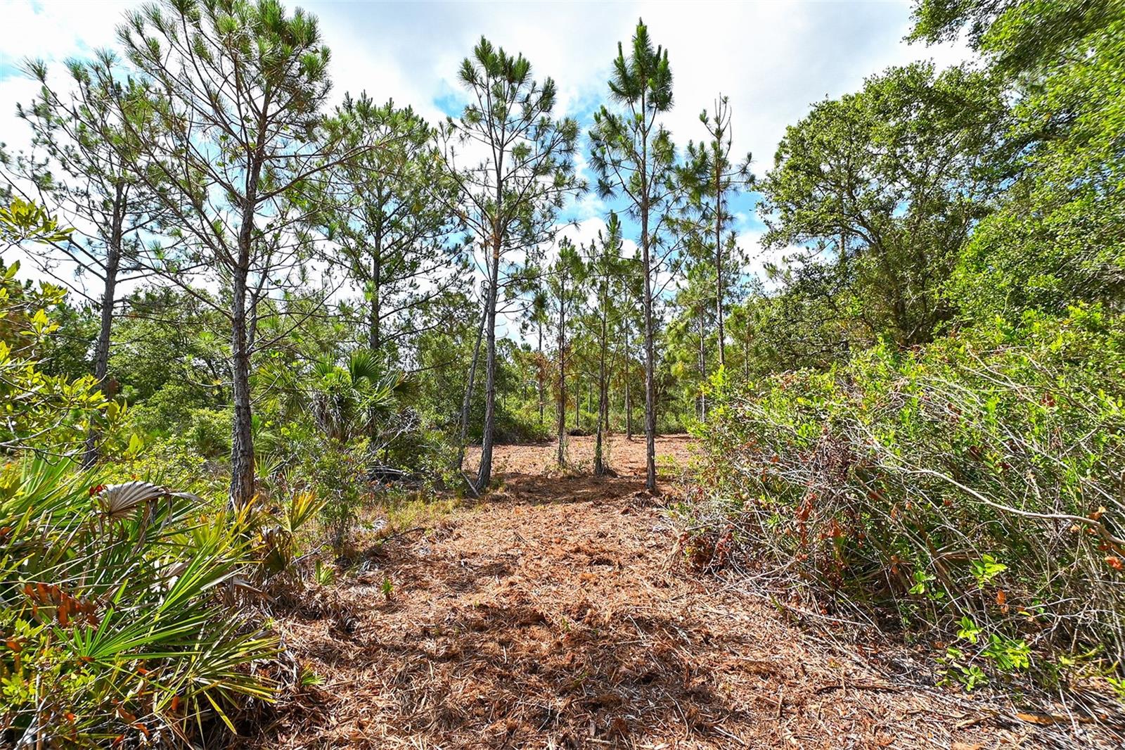 10709 LEAFWING DR, SARASOTA, FL, 34241