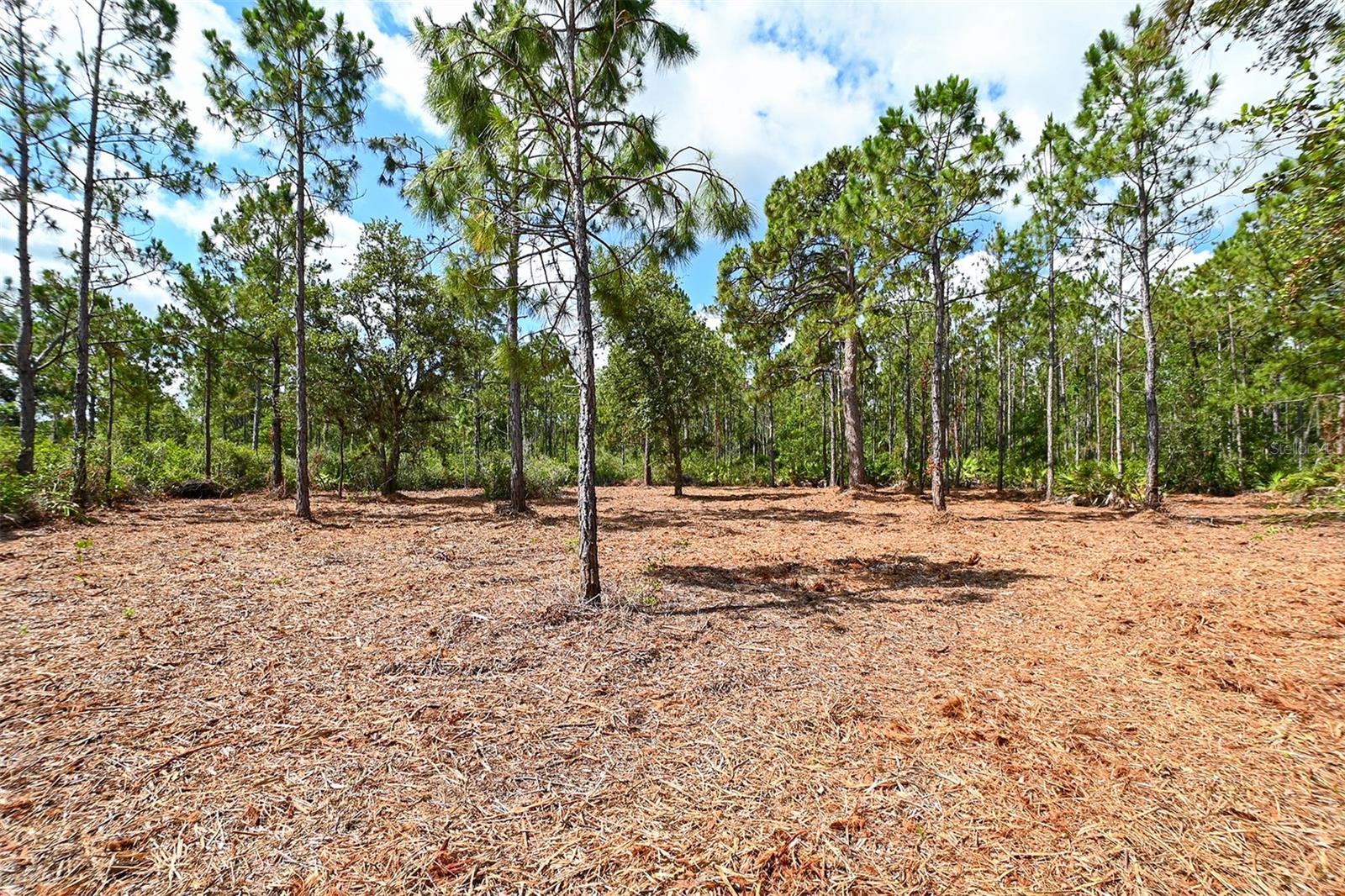 10709 LEAFWING DR, SARASOTA, FL, 34241