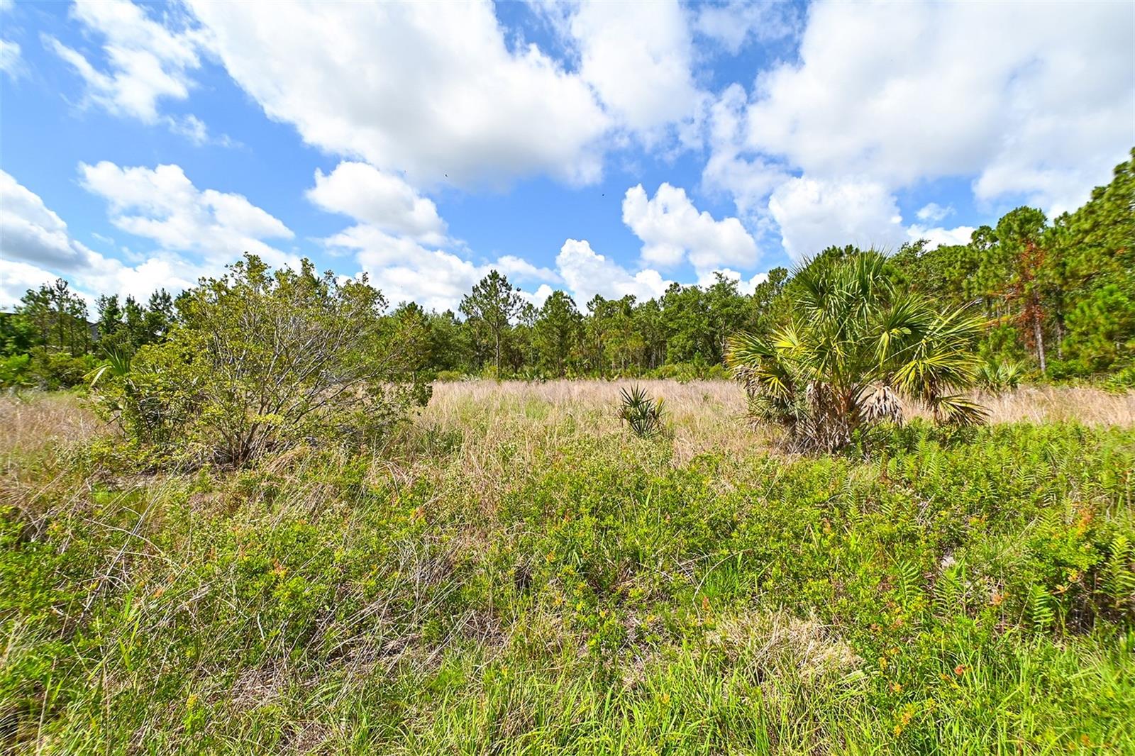 10709 LEAFWING DR, SARASOTA, FL, 34241