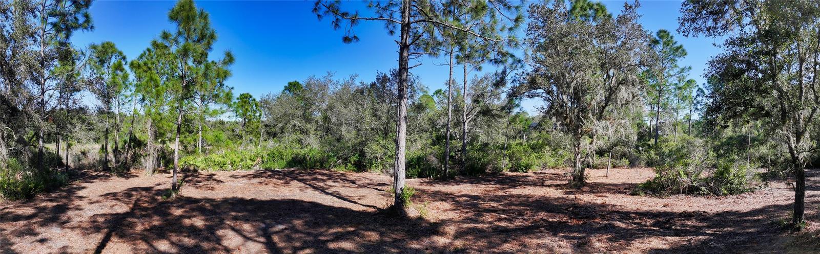 10709 LEAFWING DR, SARASOTA, FL, 34241