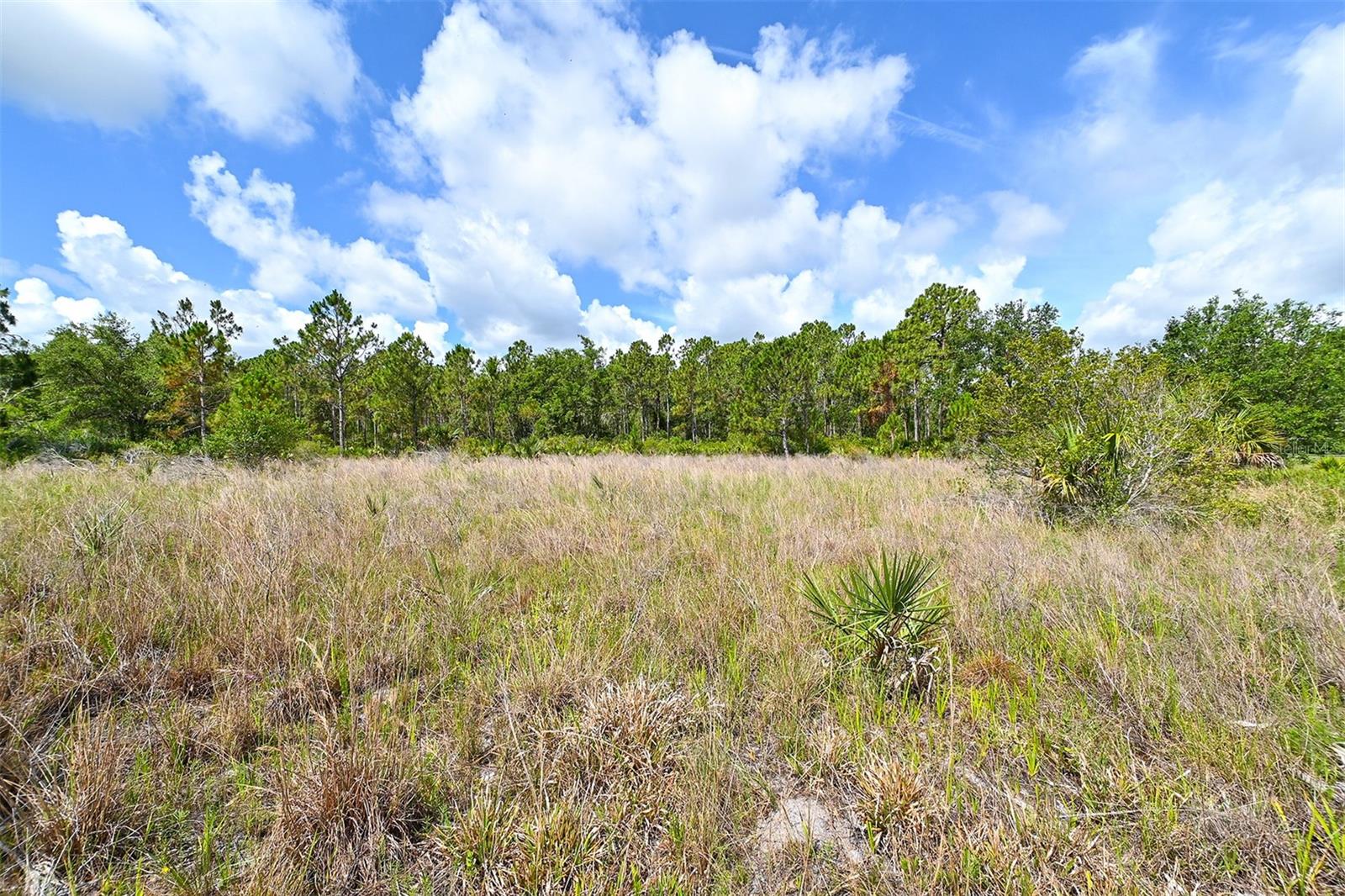 10709 LEAFWING DR, SARASOTA, FL, 34241