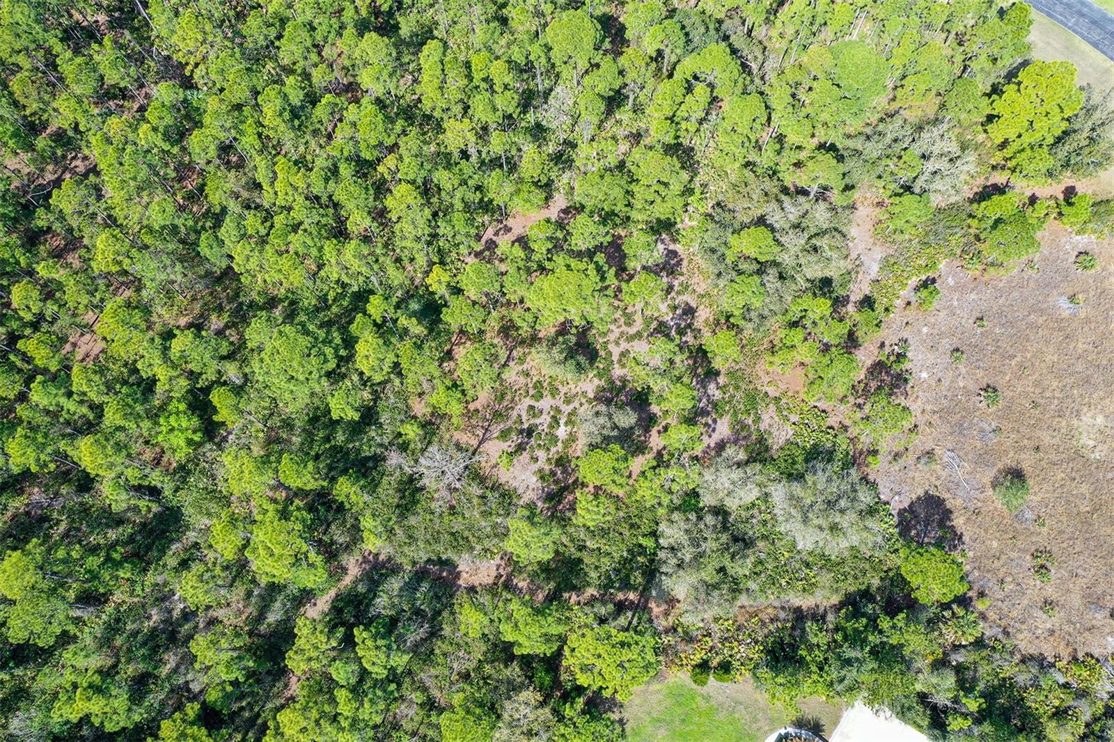 10709 LEAFWING DR, SARASOTA, FL, 34241