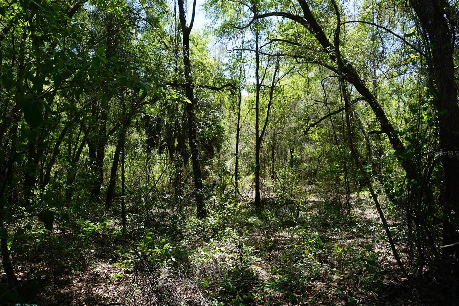 1684 E MANKO DR, HERNANDO, FL, 34442