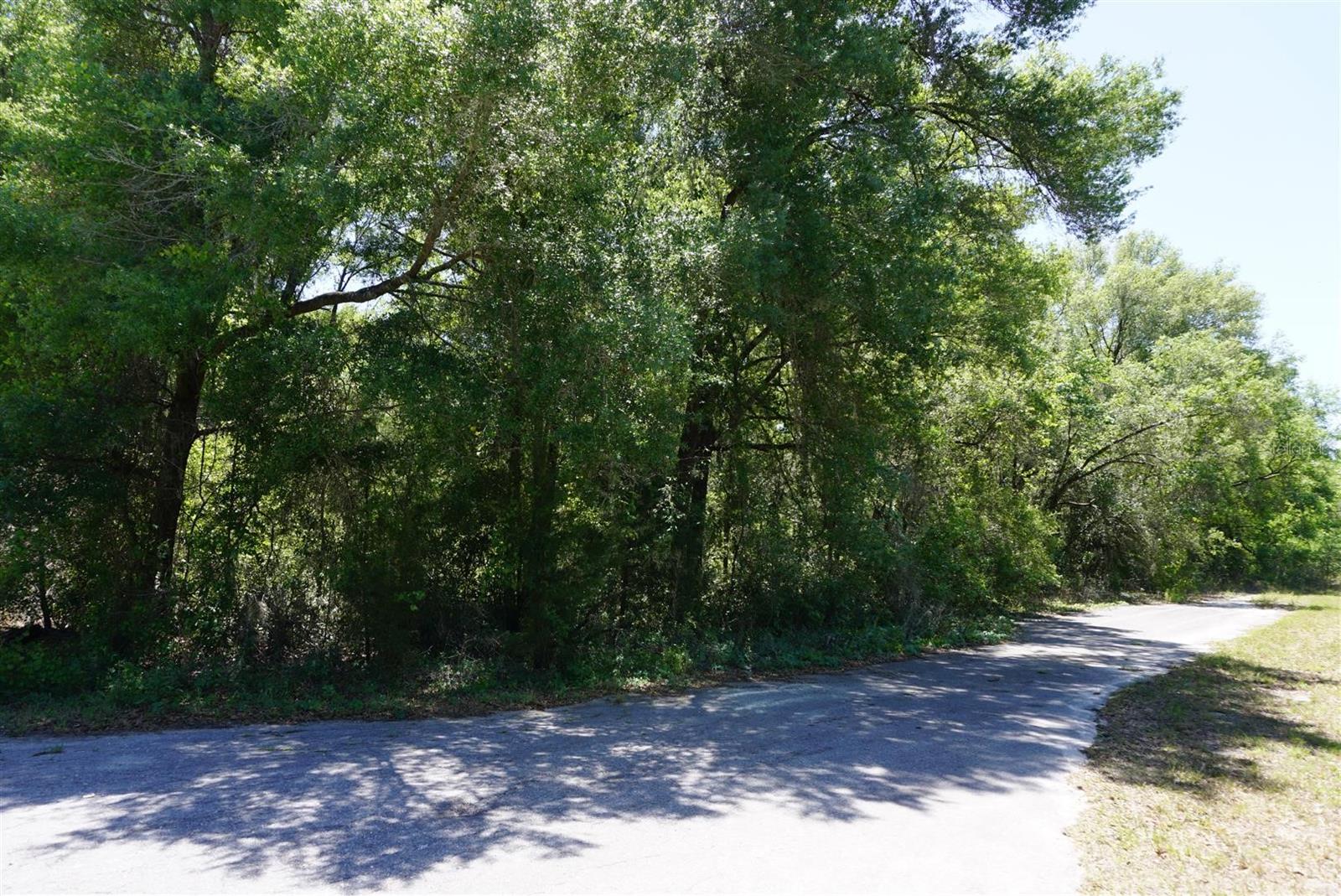 1684 E MANKO DR, HERNANDO, FL, 34442