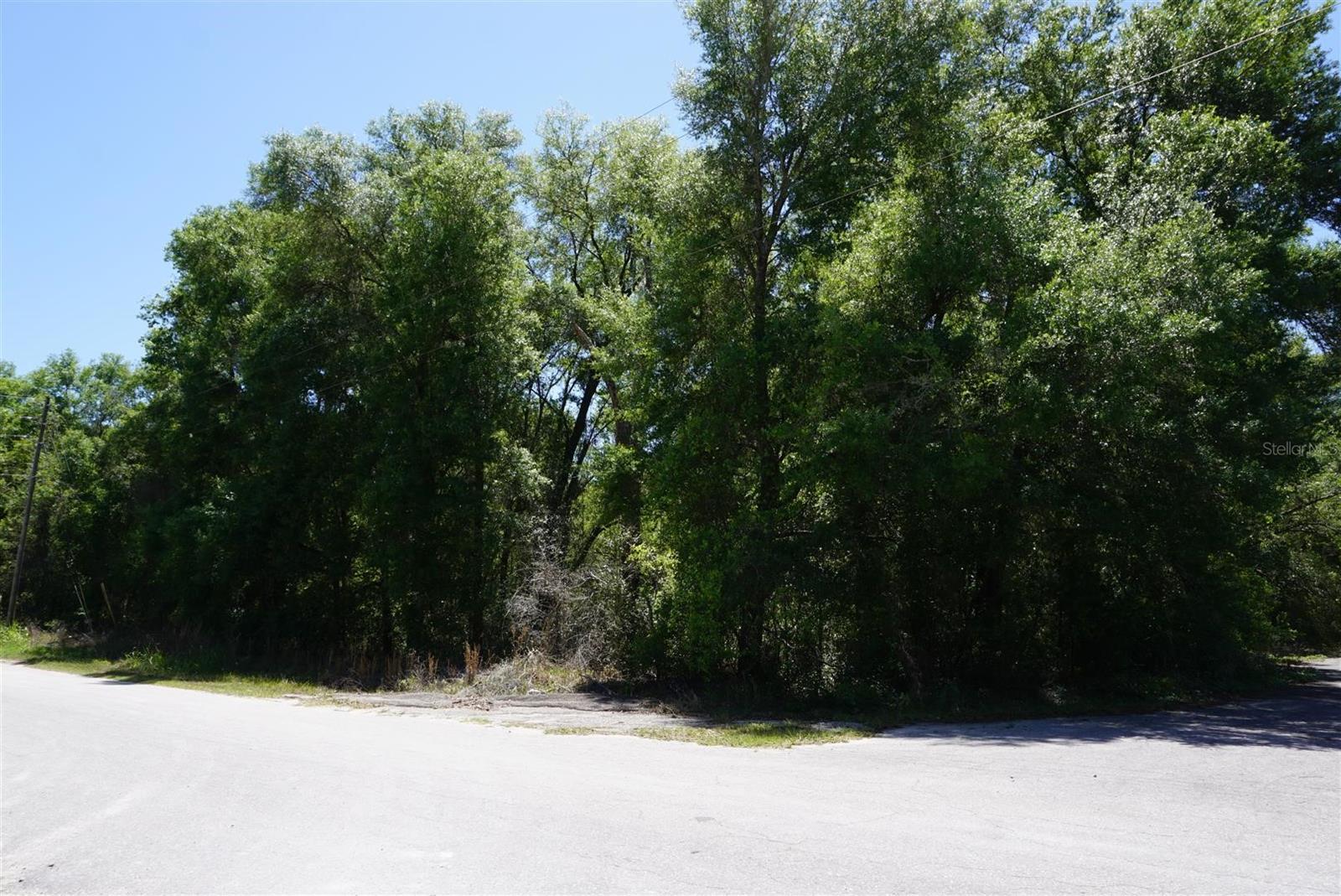 1684 E MANKO DR, HERNANDO, FL, 34442