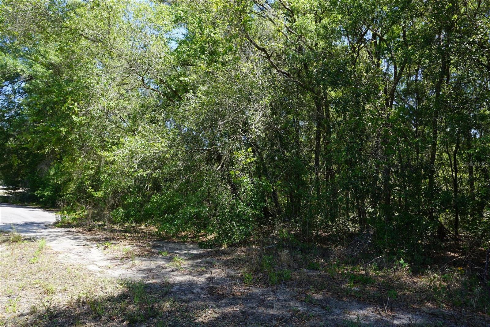 1684 E MANKO DR, HERNANDO, FL, 34442