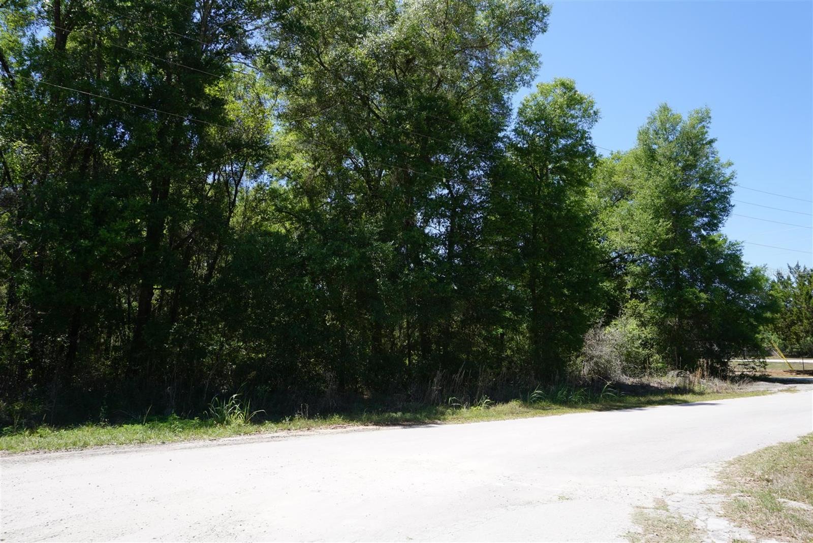 1684 E MANKO DR, HERNANDO, FL, 34442