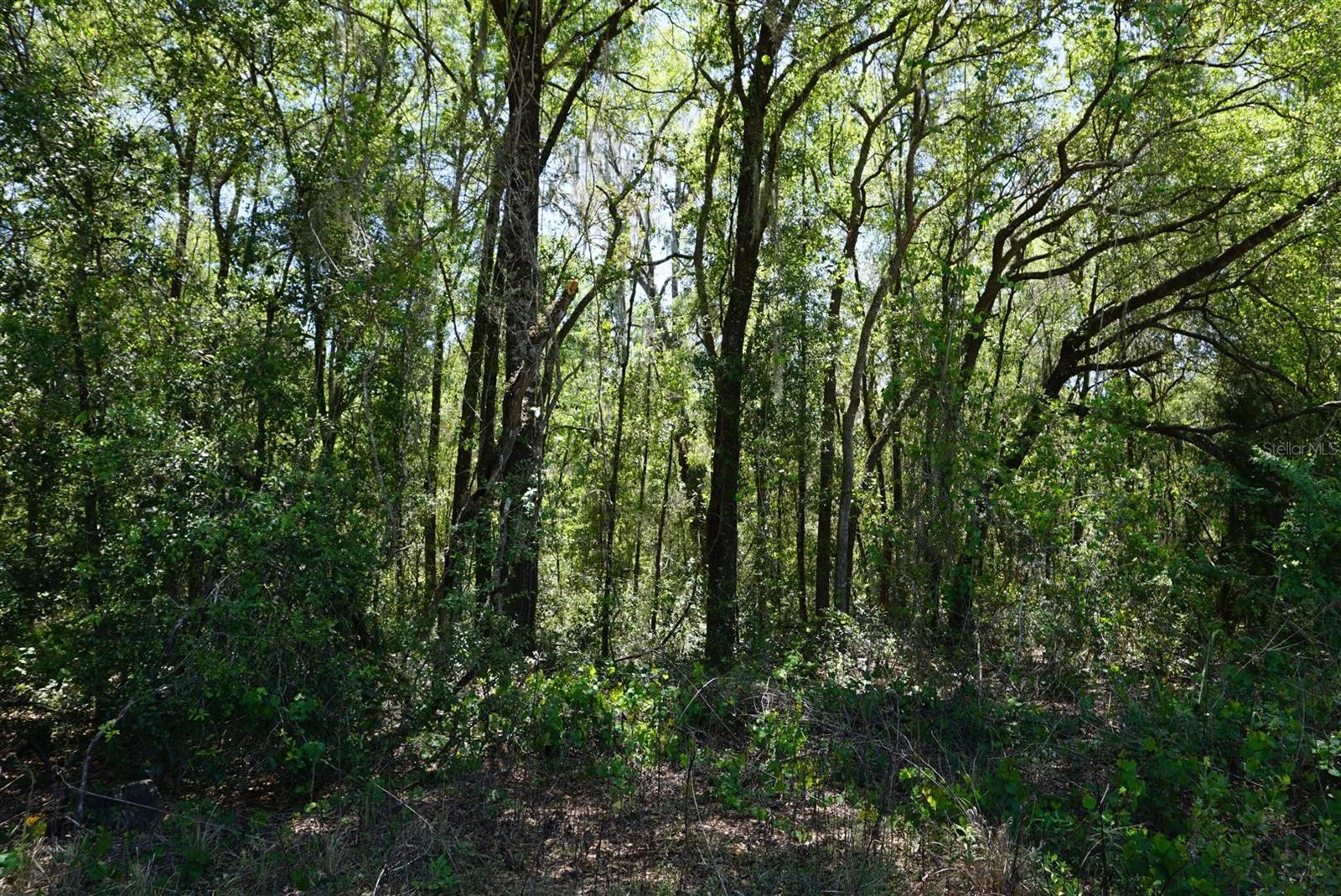 1684 E MANKO DR, HERNANDO, FL, 34442