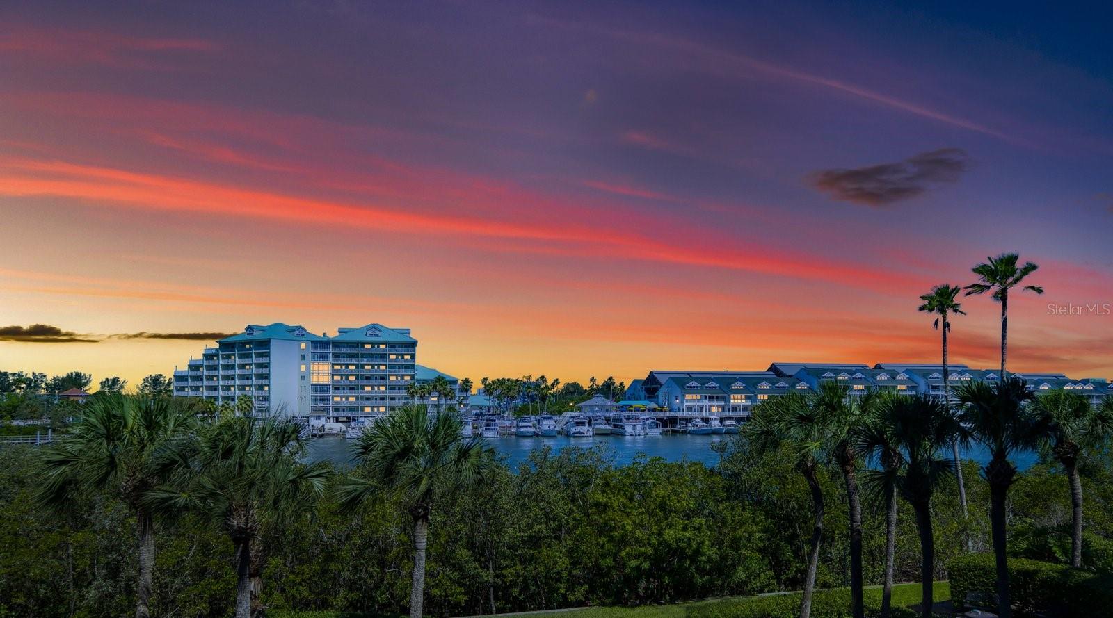 11730 SHIPWATCH DR #305, LARGO, FL, 33774