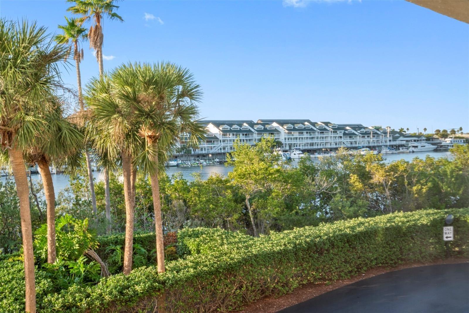 11730 SHIPWATCH DR #305, LARGO, FL, 33774