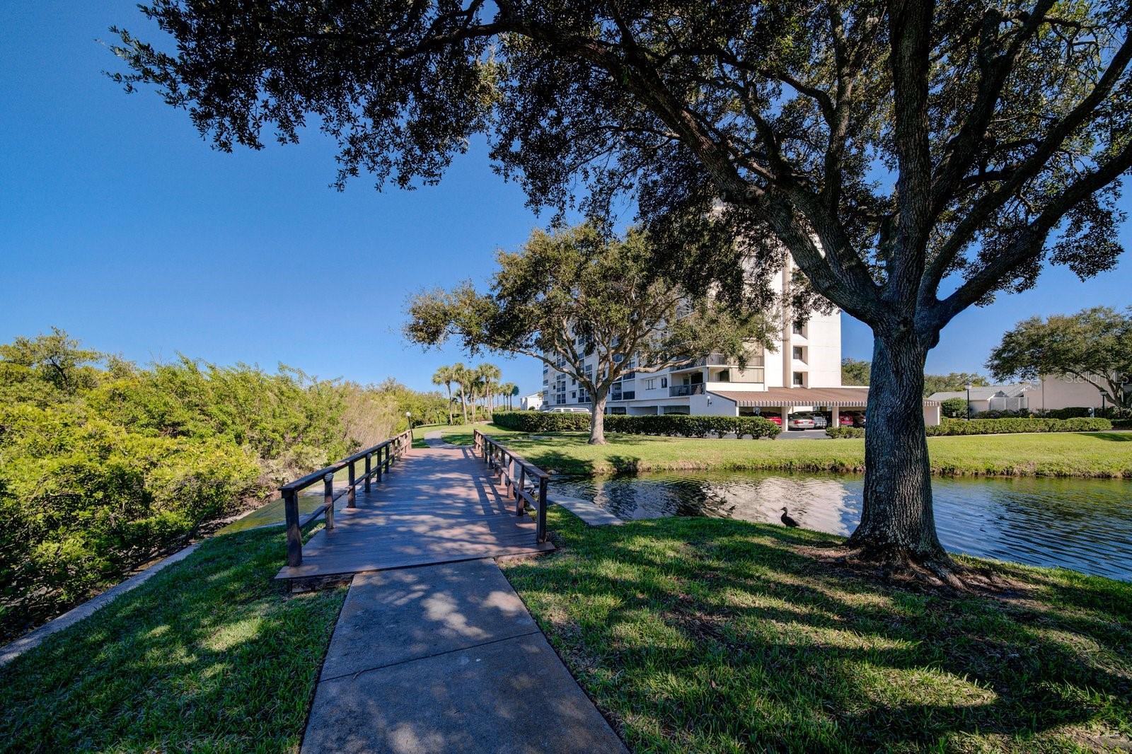 11730 SHIPWATCH DR #305, LARGO, FL, 33774