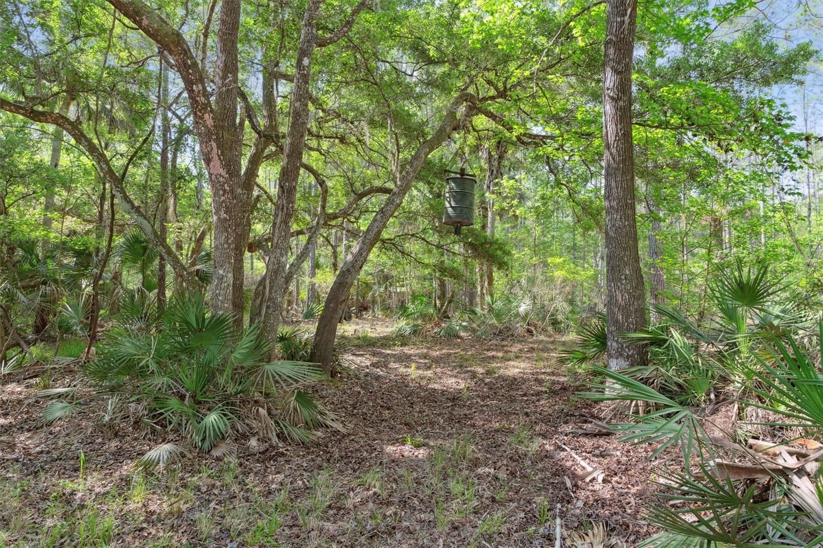 0000 SW MOODY GRADE, CHIEFLAND, FL, 32626