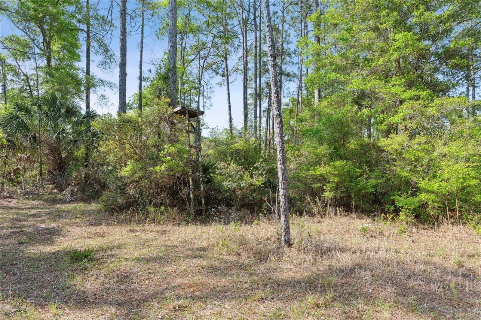 0000 SW MOODY GRADE, CHIEFLAND, FL, 32626