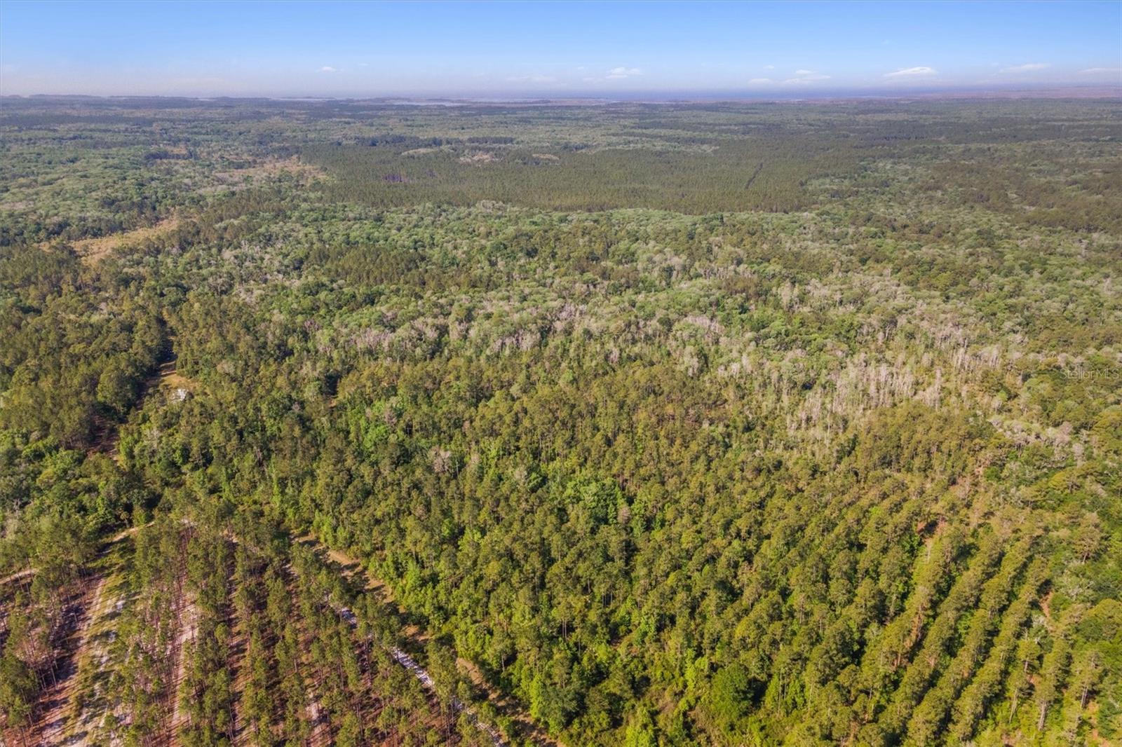 0000 SW MOODY GRADE, CHIEFLAND, FL, 32626