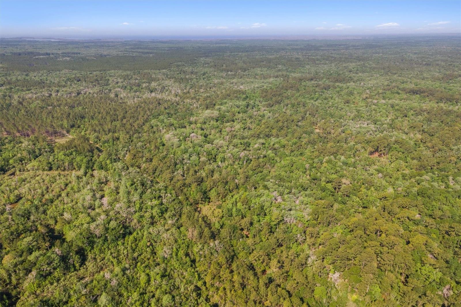 0000 SW MOODY GRADE, CHIEFLAND, FL, 32626
