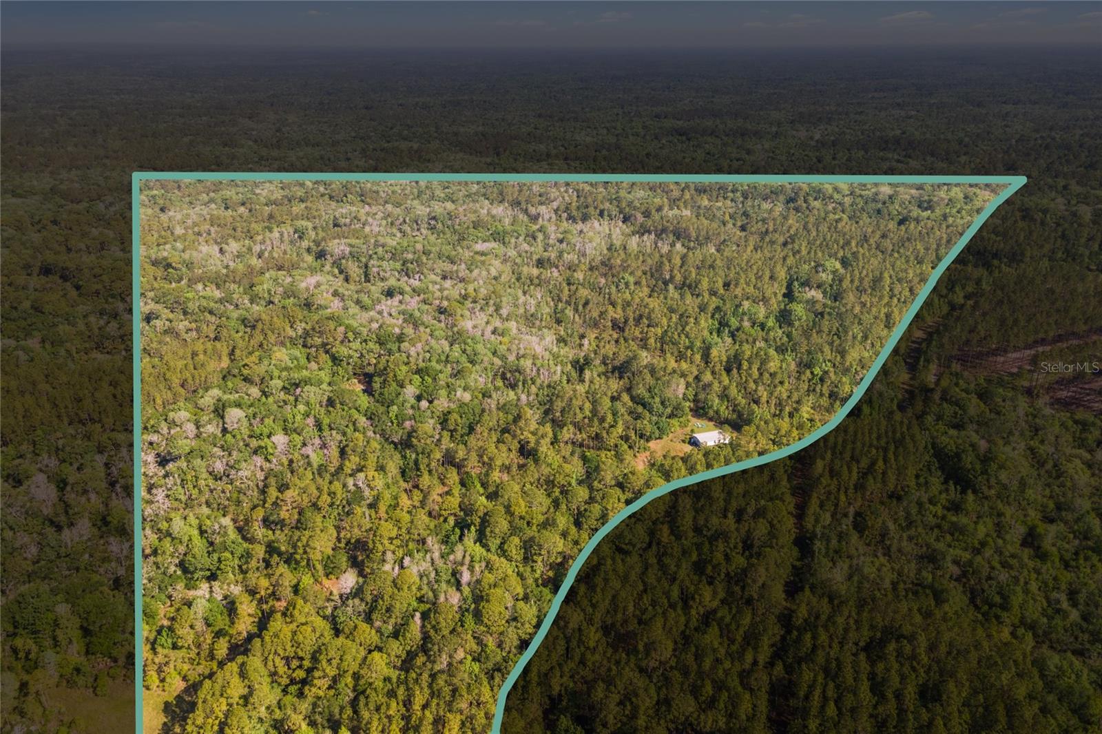 0000 SW MOODY GRADE, CHIEFLAND, FL, 32626