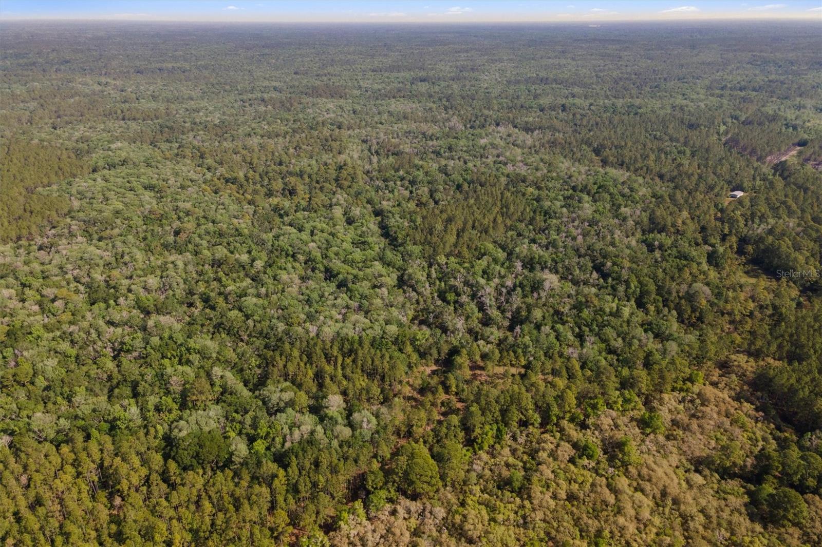 0000 SW MOODY GRADE, CHIEFLAND, FL, 32626