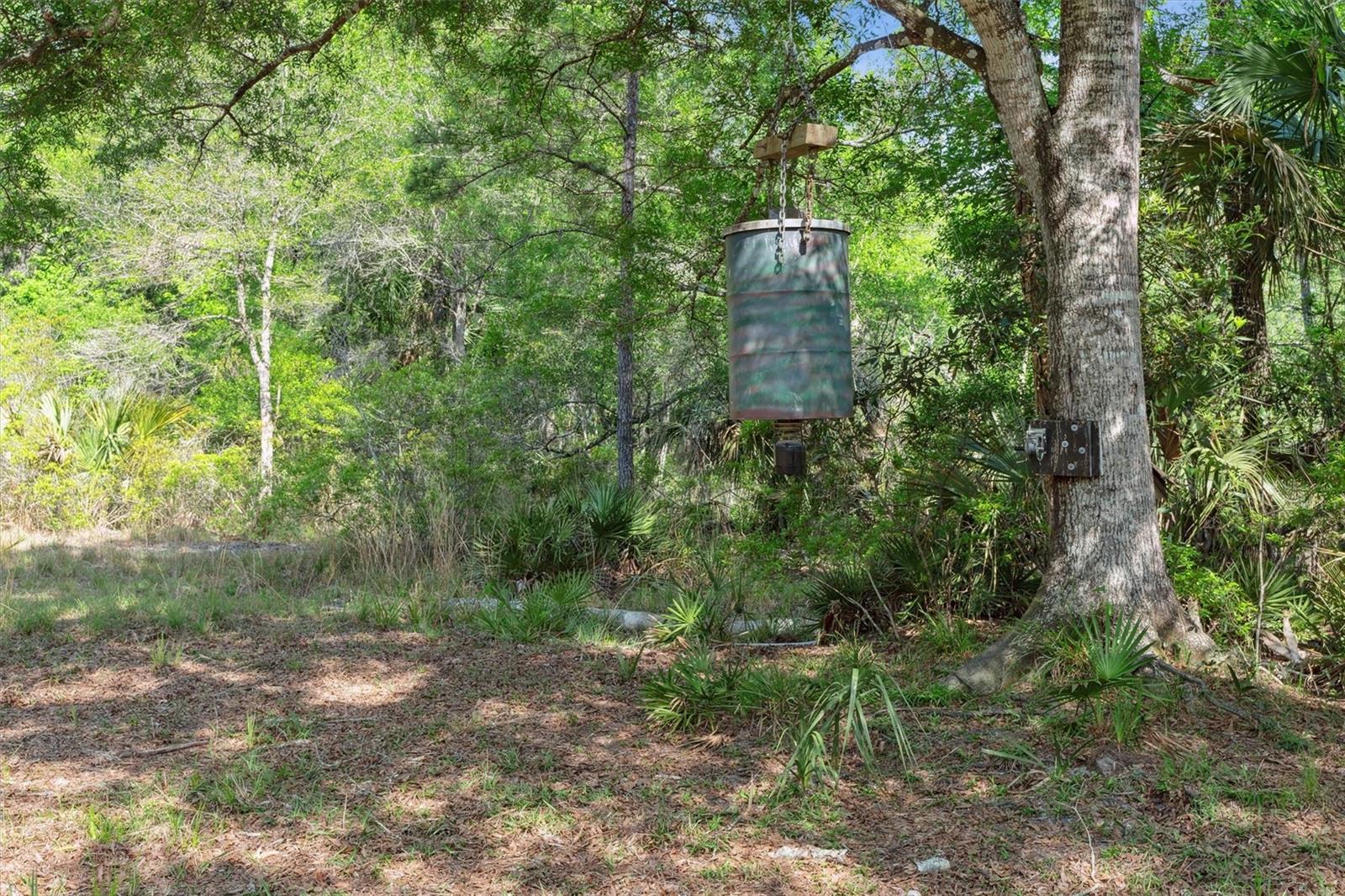 0000 SW MOODY GRADE, CHIEFLAND, FL, 32626