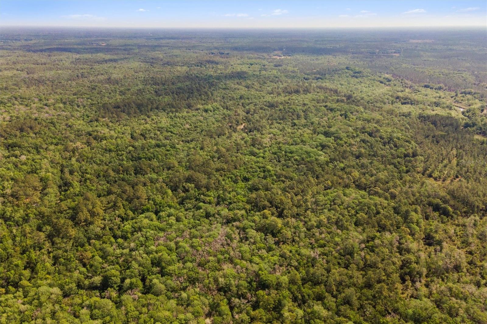 0000 SW MOODY GRADE, CHIEFLAND, FL, 32626