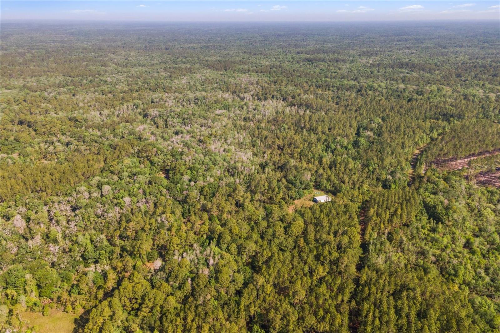 0000 SW MOODY GRADE, CHIEFLAND, FL, 32626