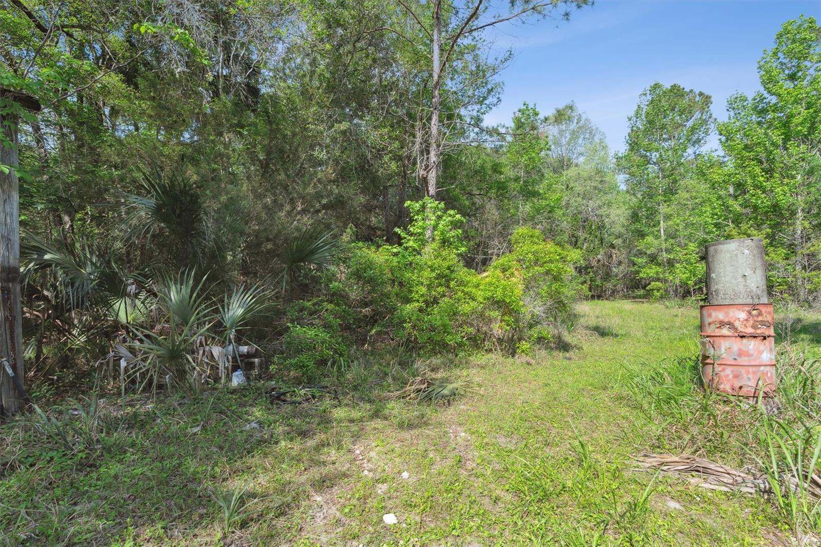 0000 SW MOODY GRADE, CHIEFLAND, FL, 32626