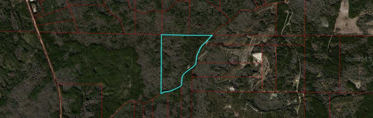 0000 SW MOODY GRADE, CHIEFLAND, FL, 32626