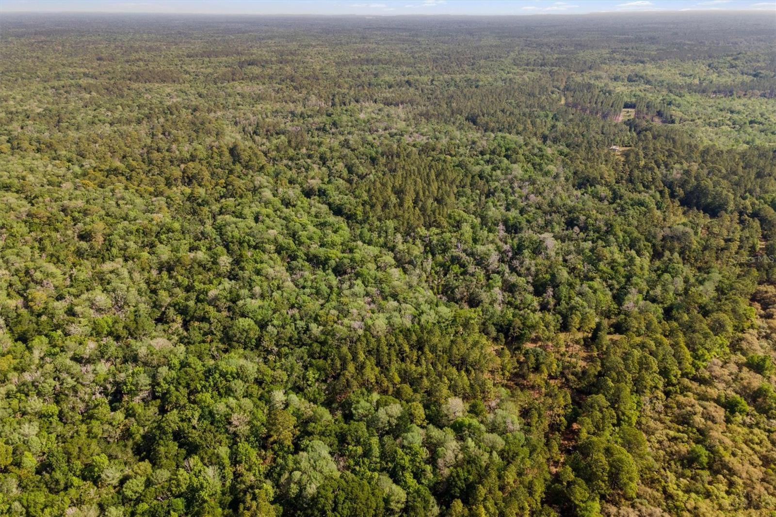 0000 SW MOODY GRADE, CHIEFLAND, FL, 32626