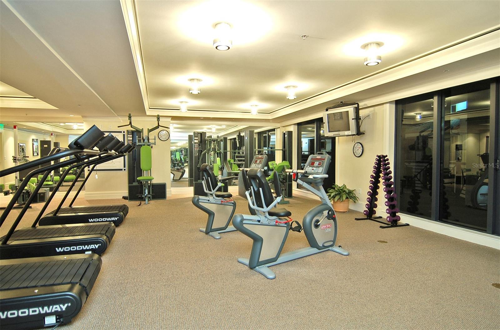 50 CENTRAL AVE #14B, SARASOTA, FL, 34236