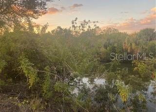 931 NE 23RD ST, CAPE CORAL, FL, 33909