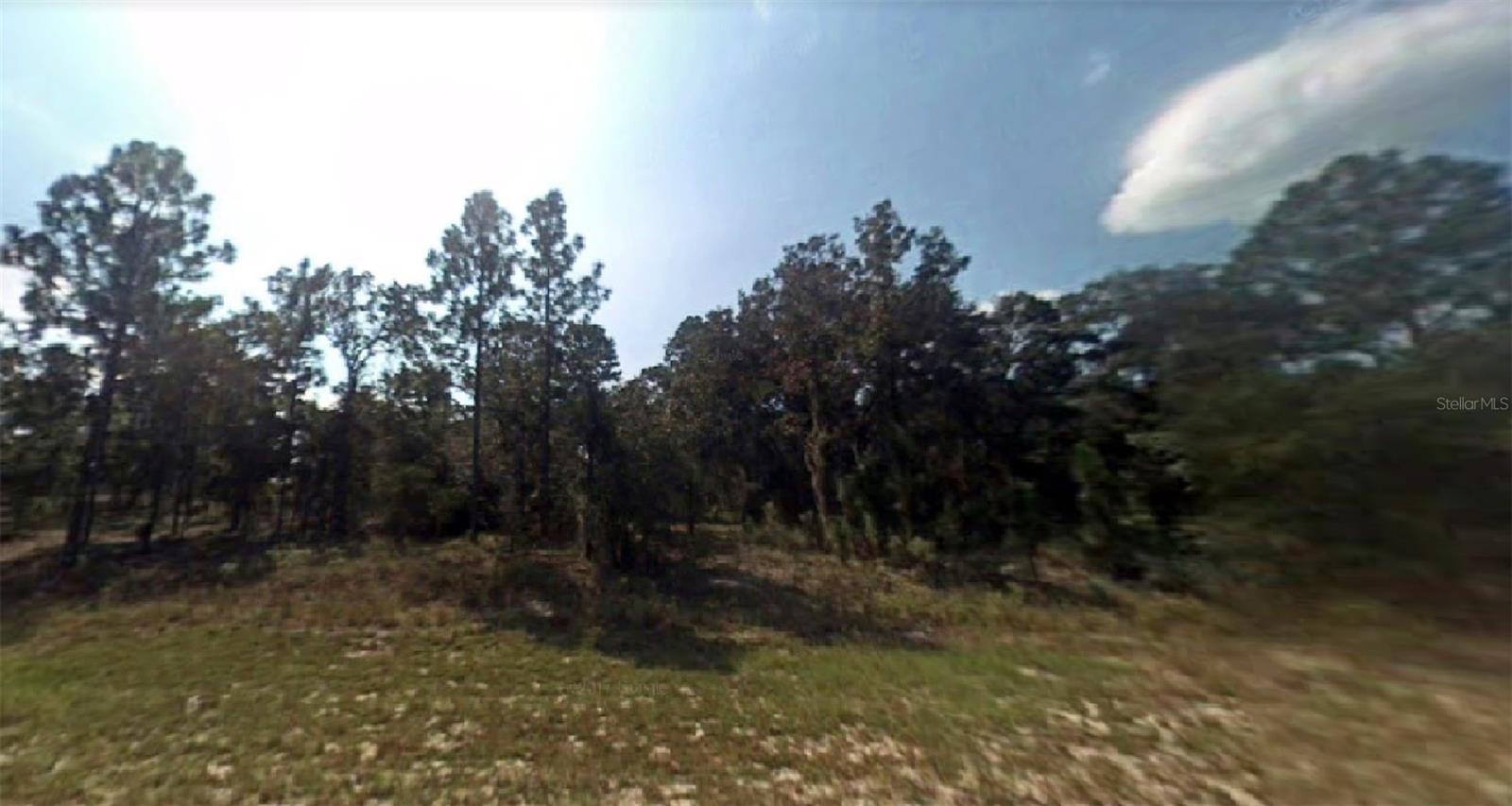 SE 129TH CT, DUNNELLON, FL, 34431